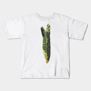 Rare and Expensive Variegated Philodendron Billietiae Design Kids T-Shirt